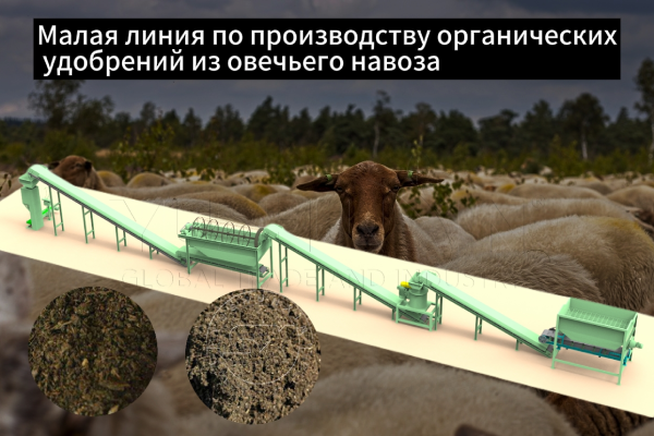 Малая-линия-по-производству-органическое-удобрение-навоза-овец