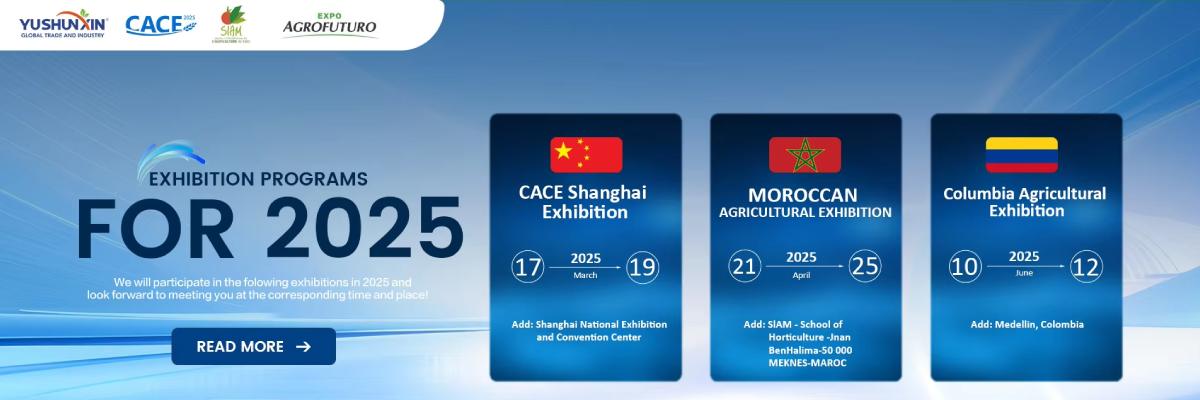 Выставка-Shunxin-2025 Выставка-Shunxin-2025